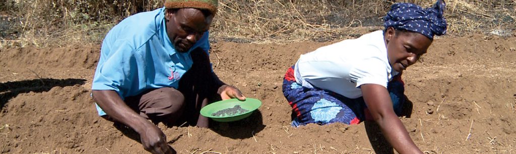 AEDS Launches 2nd Edition Zimbabwe Agriculture Sector Survey (2019-2020)