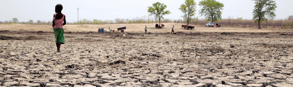 Impact Of Climate Change on Zimbabwe Agriculture Production (2019-2020)
