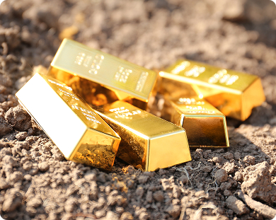 Stakeholders’ Perception on the Zimbabwe Gold Currency