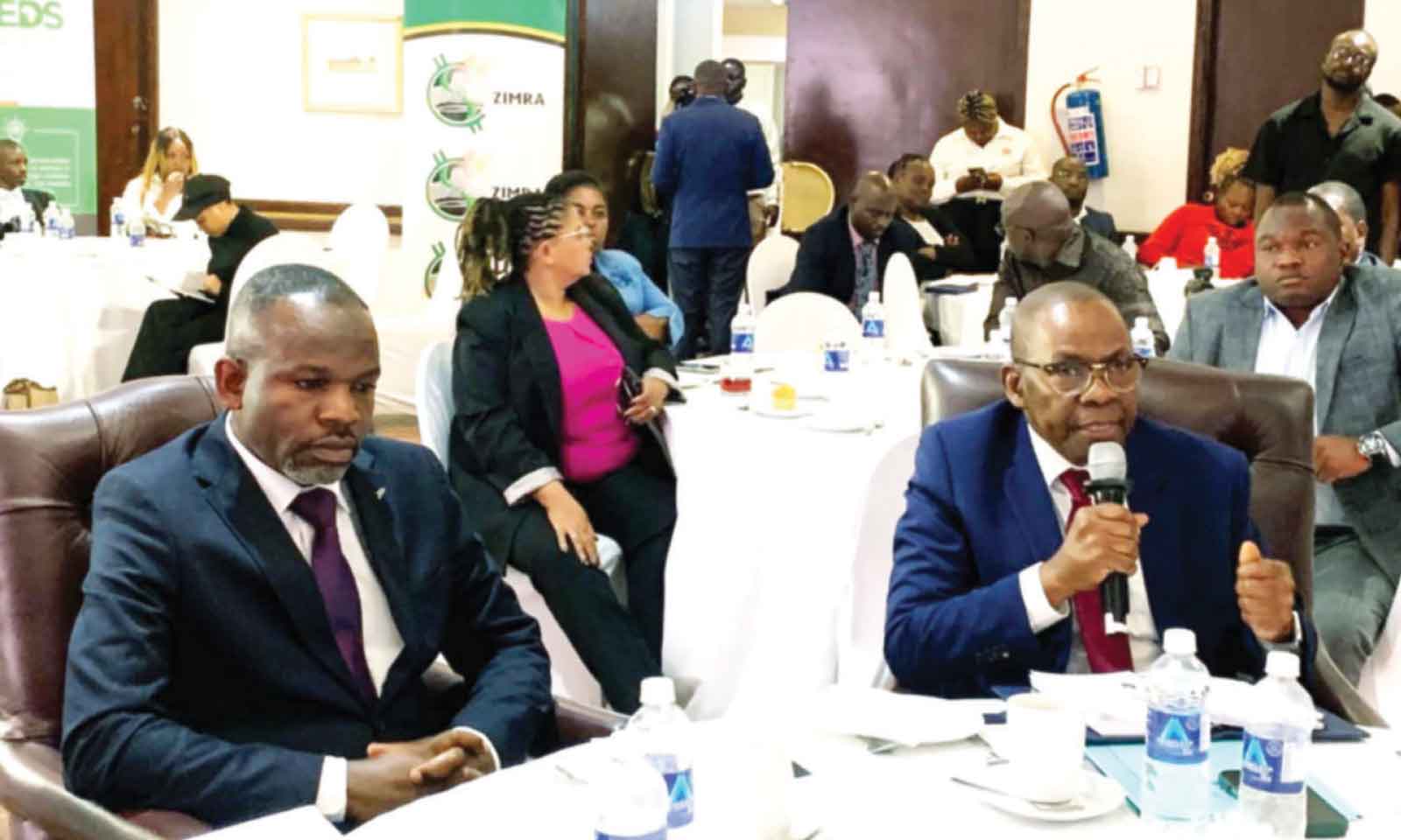 RBZ to entrench stability in push to monocurrency