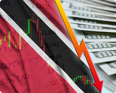 Zimbabwe Investor Confidence Index