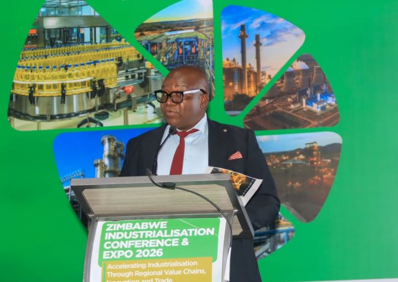 Zim mining faces US$2 billion beneficiation gap in 2026