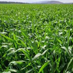  Turning Agricultural Potential into an Export Machine