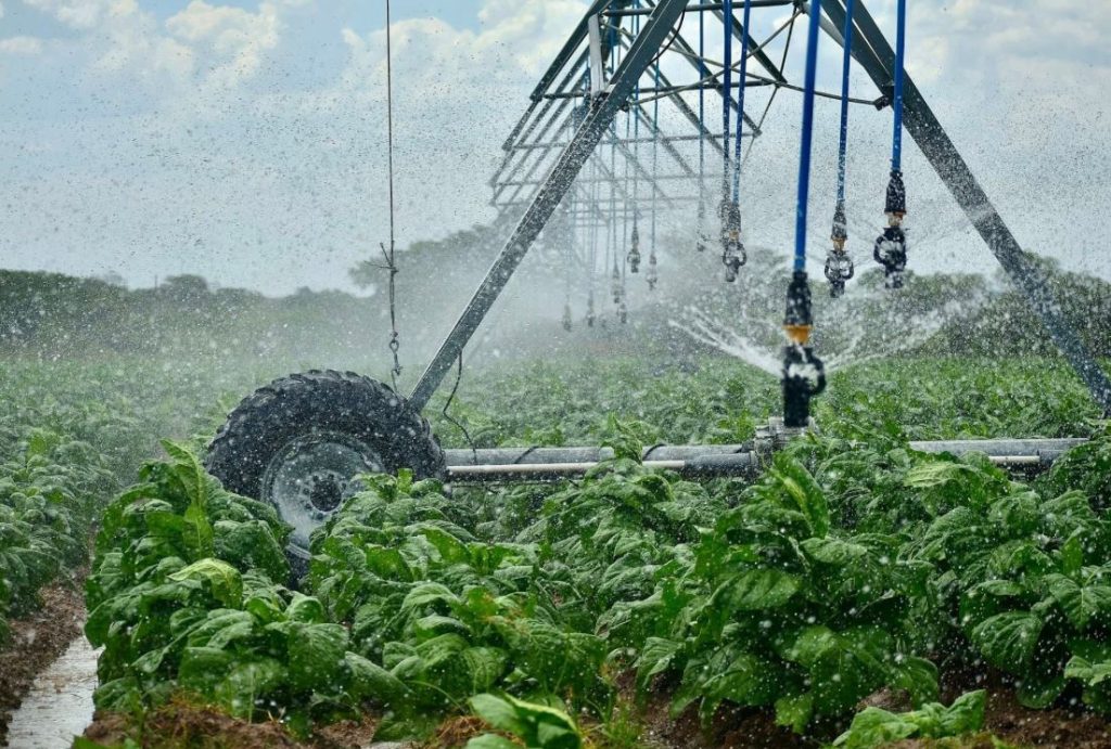 Policy meets investment at National Agriculture Conference 2026