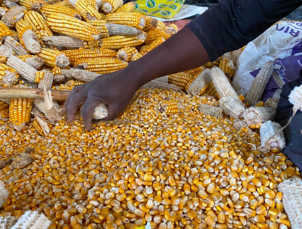 Accelerating import substitution in agriculture