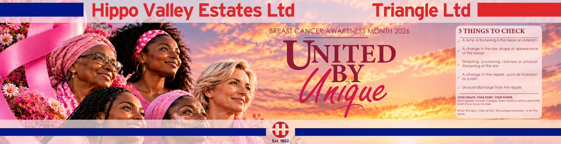 Advertiser name