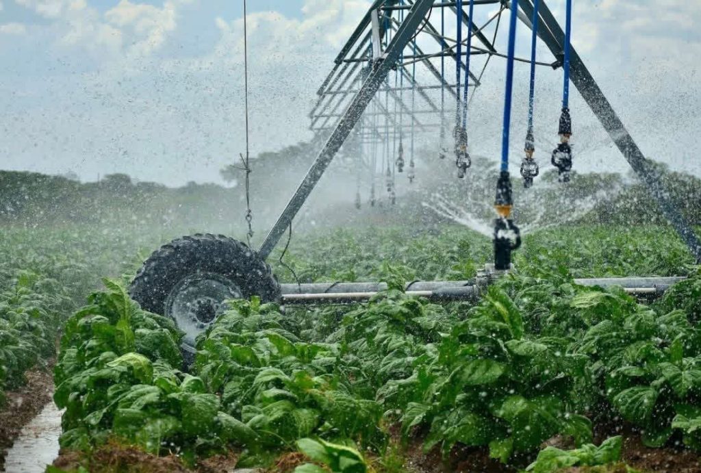 Irrigation Drive Gains Ground in Mashonaland as Grain Levy Funds Deliver Results