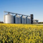 GMB Clears Forex Arrears, Giving Farmers Timely Boost Ahead of Planting Season