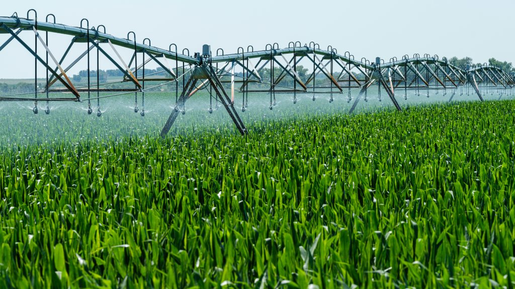 35 Irrigation Schemes Rehabilitated as Zimbabwe Expands Agricultural Capacity
