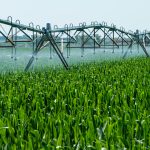 35 Irrigation Schemes Rehabilitated as Zimbabwe Expands Agricultural Capacity